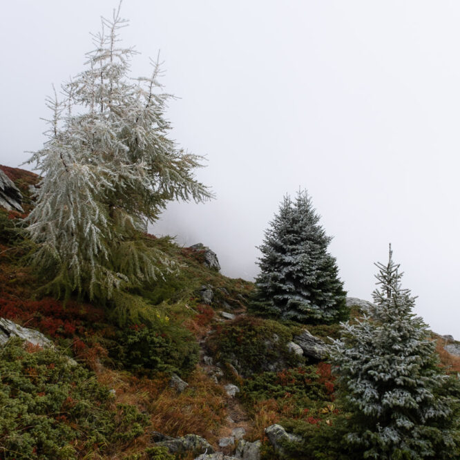 Herbst in Graubünden, Bivio 2023